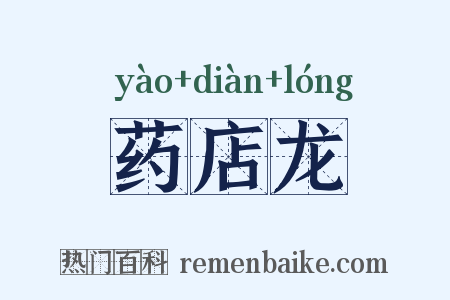 药店龙是什么意思的图片